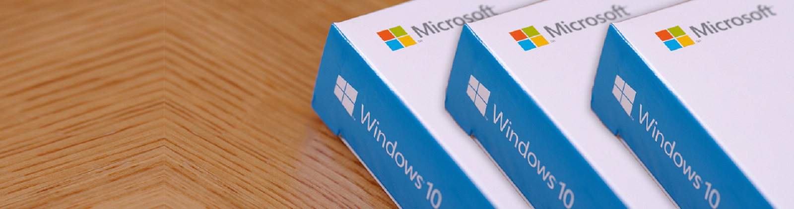 Professionista di Microsoft Windows 10